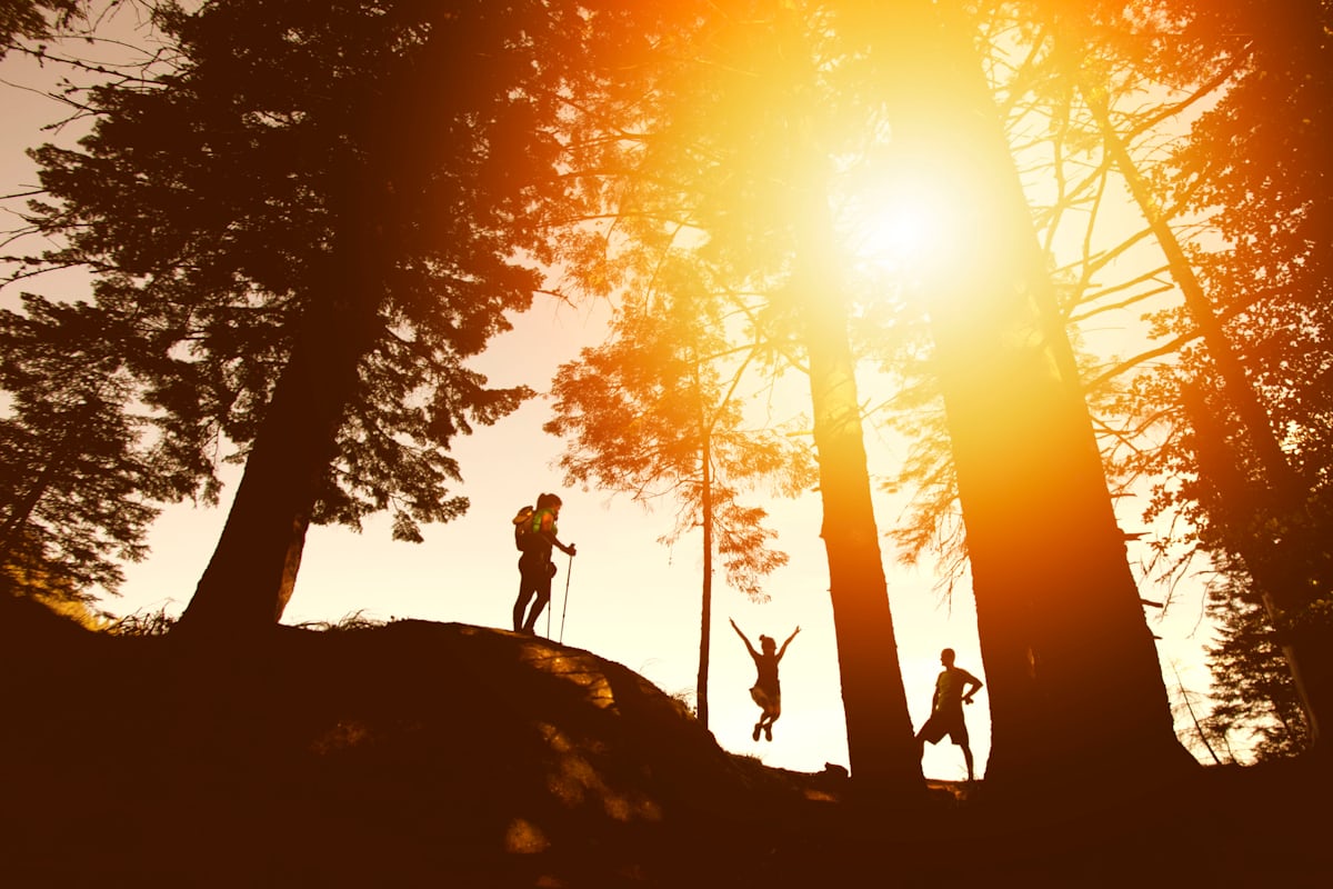 Drei Menschen, die im Wald sind. Eine Frau springt mit gestreckten Armen in die Luft und die Sonne scheint durch die Bäume hell und orange.